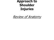 Neuromuscular Therapy Approach to Shoulder Injuries  Review of Anatomy