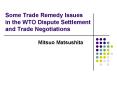 Some Trade Remedy Issues in the WTO Dispute Settlement and Trade Negotiations PowerPoint PPT Presentation