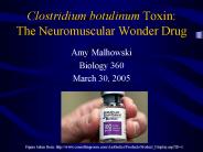 Clostridium botulinum Toxin: The Neuromuscular Wonder Drug
