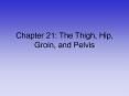 Chapter 21: The Thigh, Hip, Groin, and Pelvis PowerPoint PPT Presentation