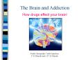 The Brain and Addiction PowerPoint PPT Presentation