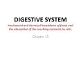DIGESTIVE SYSTEM Mechanical and chemical breakdown of foods and the absorption of the resulting nutrients by cells. PowerPoint PPT Presentation
