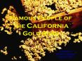 Famous People of the California Gold Rush PowerPoint PPT Presentation