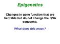 Epigenetics PowerPoint PPT Presentation