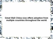 Great Wall China Adoption