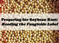 Preparing for Soybean Rust: Reading the Fungicide Label PowerPoint PPT Presentation
