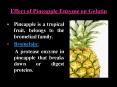 Effect of Pineapple Enzyme on Gelatin PowerPoint PPT Presentation