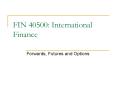 FIN 40500: International Finance PowerPoint PPT Presentation