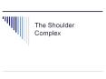 The Shoulder Complex PowerPoint PPT Presentation