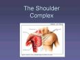 The Shoulder Complex PowerPoint PPT Presentation