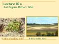 Lecture 10 a Soil Organic Matter=SOM PowerPoint PPT Presentation