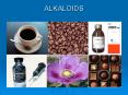 ALKALOIDS PowerPoint PPT Presentation