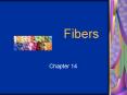 Fibers PowerPoint PPT Presentation