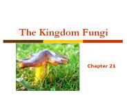 The Kingdom Fungi