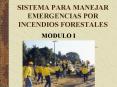 SISTEMA PARA MANEJAR EMERGENCIAS POR INCENDIOS FORESTALES PowerPoint PPT Presentation