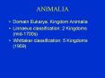 ANIMALIA PowerPoint PPT Presentation