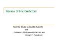 Review of Microreactors PowerPoint PPT Presentation