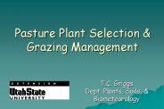 Pasture Plant Selection