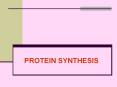 PROTEIN SYNTHESIS PowerPoint PPT Presentation