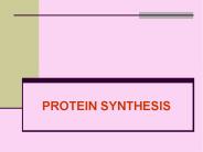 PROTEIN SYNTHESIS
