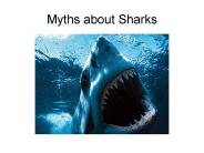 Myths about Sharks