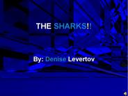 THE SHARKS!!