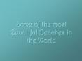Some of the most Beautiful Beaches in the World PowerPoint PPT Presentation