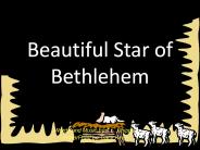 Beautiful Star of Bethlehem