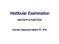 Vestibular Examination PowerPoint PPT Presentation