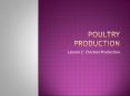 Poultry Production PowerPoint PPT Presentation