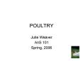 POULTRY PowerPoint PPT Presentation