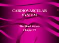 CARDIOVASCULAR SYSTEM PowerPoint PPT Presentation