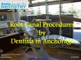 Root Canal Procedures by  Dentists in Anchorage PowerPoint PPT Presentation