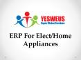 ERP For Elect/Home Appliances PowerPoint PPT Presentation