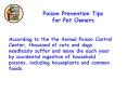 According to the the Animal Poison Control Center, thousand of cats and dogs needlessly suffer and many die each year by accidental ingestion of household poisons, including houseplants and common foods. PowerPoint PPT Presentation