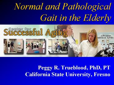 Normal and Pathological Gait in the Elderly