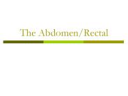 The Abdomen/Rectal