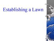 Establishing a Lawn