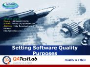 Setting Software Quality Purposes