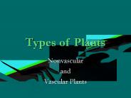 Types of Plants