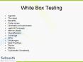 White Box Testing PowerPoint PPT Presentation
