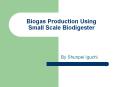 Biogas Production Using Small Scale Biodigester PowerPoint PPT Presentation