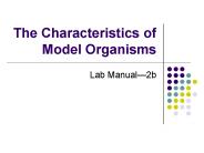 The Characteristics of Model Organisms