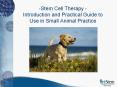 -Stem Cell Therapy - Introduction and Practical Guide to Use in Small Animal Practice PowerPoint PPT Presentation