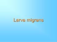 Larva migrans