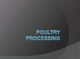 Poultry Processing PowerPoint PPT Presentation