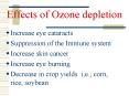 Effects of Ozone depletion PowerPoint PPT Presentation
