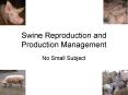 Swine Reproduction and Production Management PowerPoint PPT Presentation