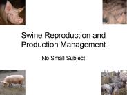 Swine Reproduction and Production Management