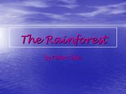 The Rainforest
